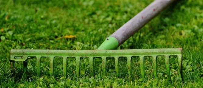 lawn-and-garden-666x290
