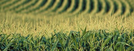 resources_img_2-439x170