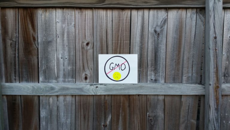 GMOs – How Do We Avoid Them?