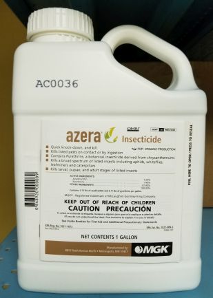 Azera