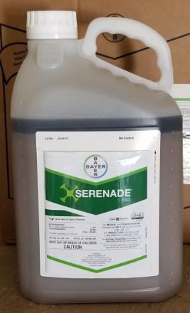 Bayer, Serenade ASO, biofungicide