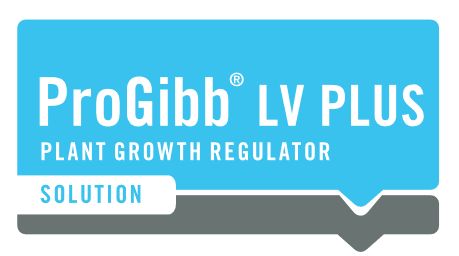 Pro Gibb LV Plus