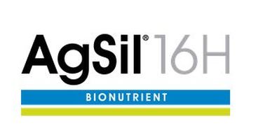 AgSil 16H