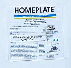 Homeplate