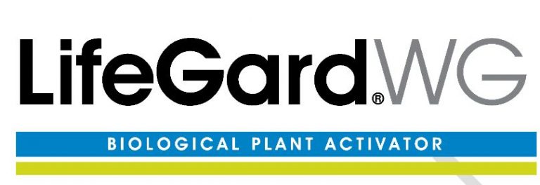 Lifegard WG