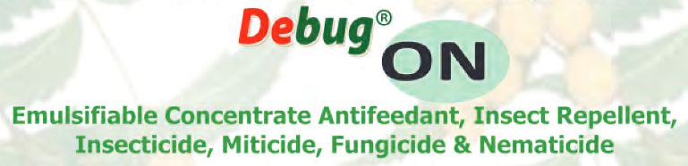 Debug On