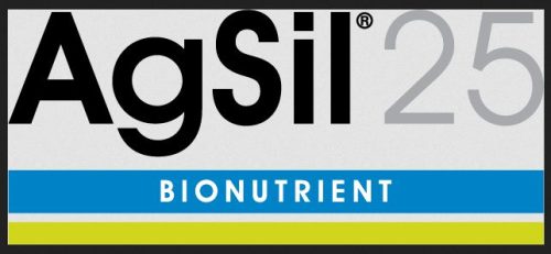 AgSil 25